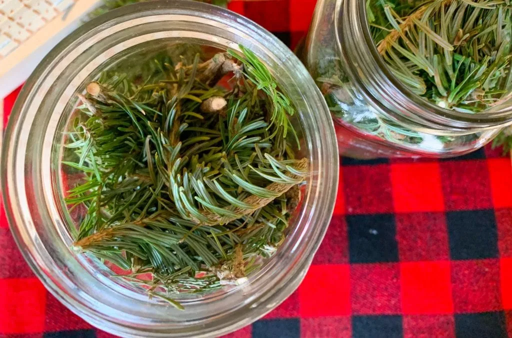 pine branches in mason jar against black and red buffalo check fabric to make scented vinegar