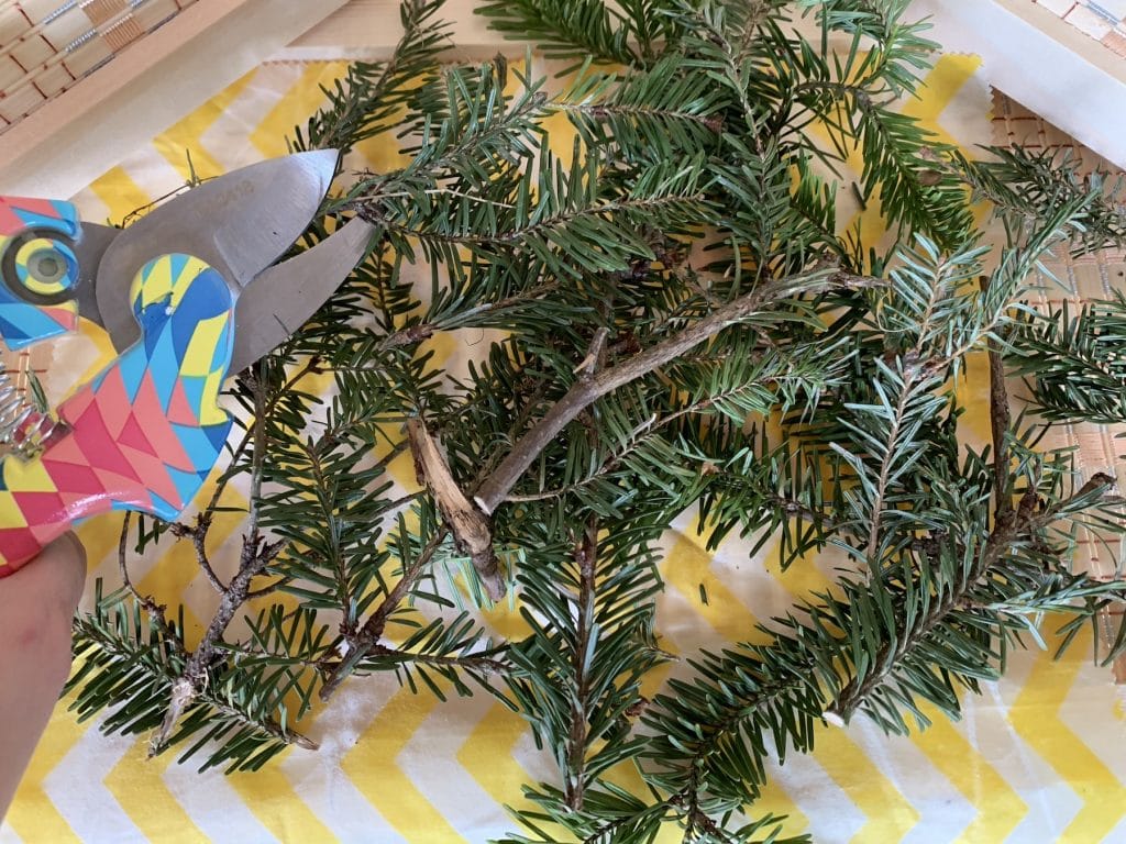 christmas tree branches cut up against white and yellow background with pruners