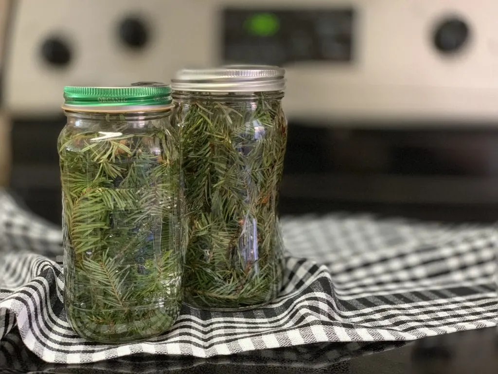 pine branches in glass mason jars against black and white checked napkin on top of stove