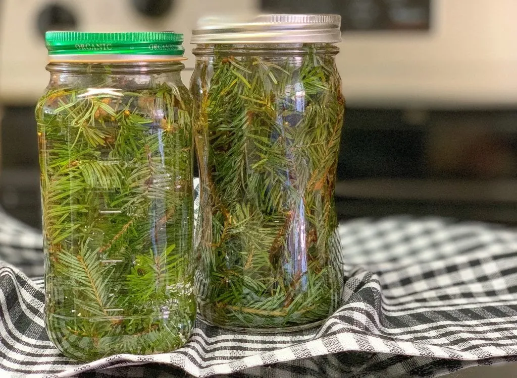 Pine Scented Vinegar in mason jars on top of black stove for Cleaning