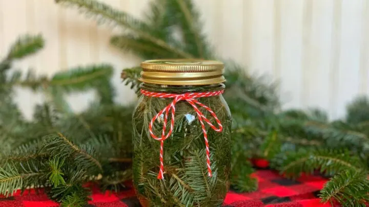 Pine Scented Vinegar in mason jar against red and black buffalo check fabric for Cleaning