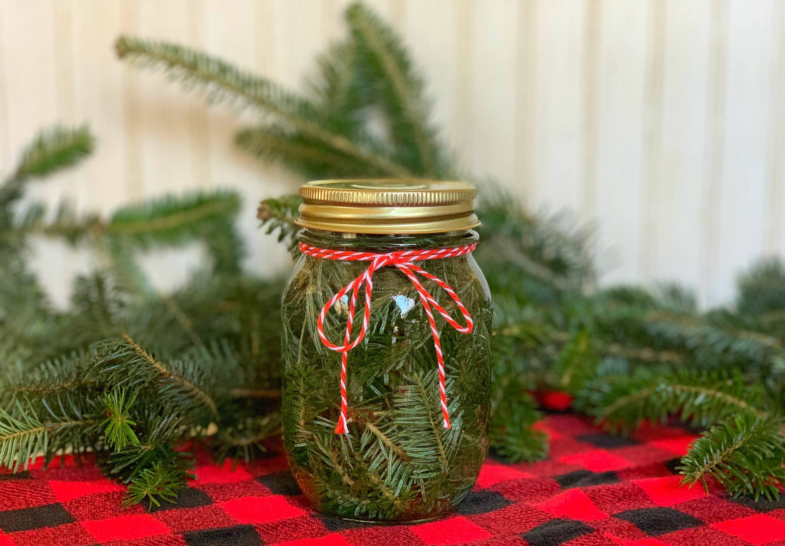 Pine Scented Vinegar in mason jar against red and black buffalo check fabric for Cleaning