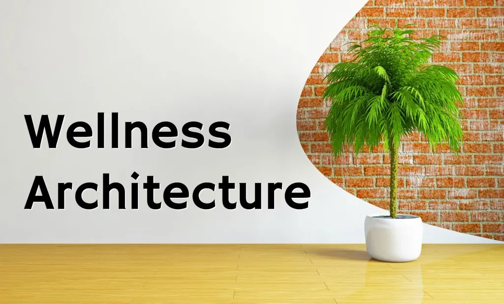 wood floor against brick wall with white artistic drywall and potted green palm tree plant wellness architecture