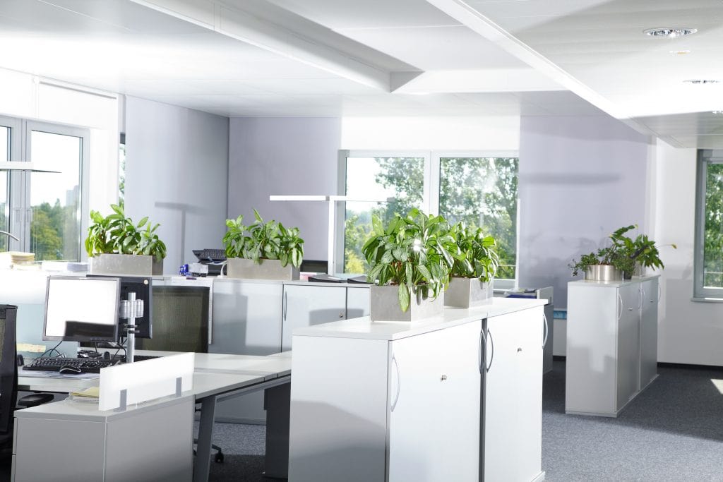 modern office space with white cabinets desks with computers lots of natural light in windows green plants wellness architecture