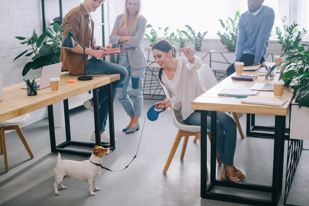 woman feeding dog while working at desk in office with big windows and lots of plants wellness architecture