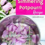 simmering potpourri simmer pot full of rose petals eucalyptus leaves natural air freshener
