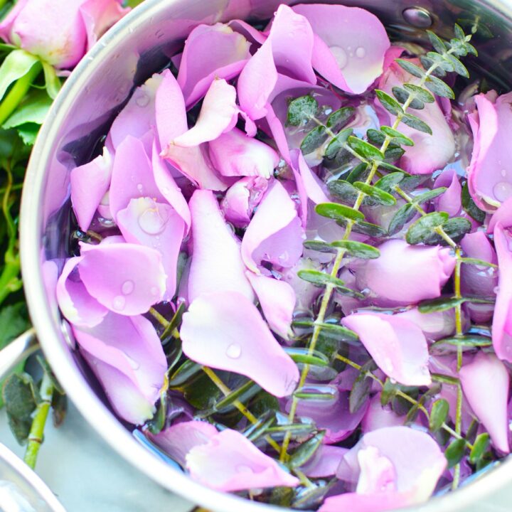 simmer pot full of rose petals eucalyptus leaves natural air freshener