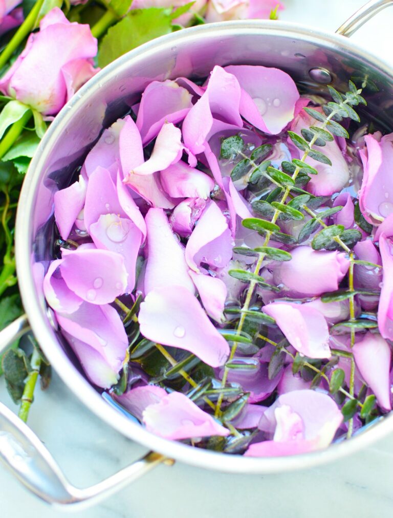 simmer pot full of rose petals eucalyptus leaves natural air freshener