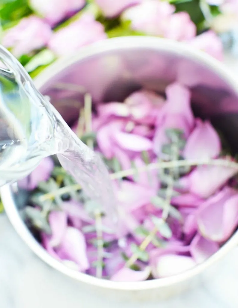 pouring water into a simmer pot lavender rose petals fresh eucalyptus stems air freshener