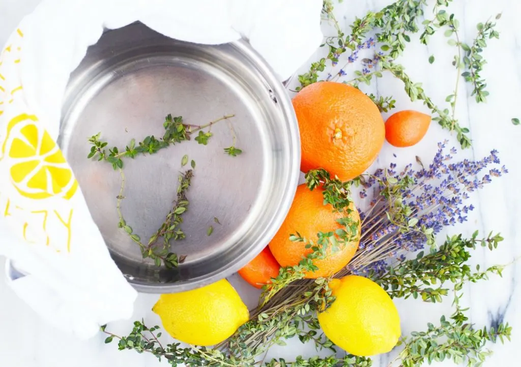 Citrus and Spice Simmering Potpourri 4 cups