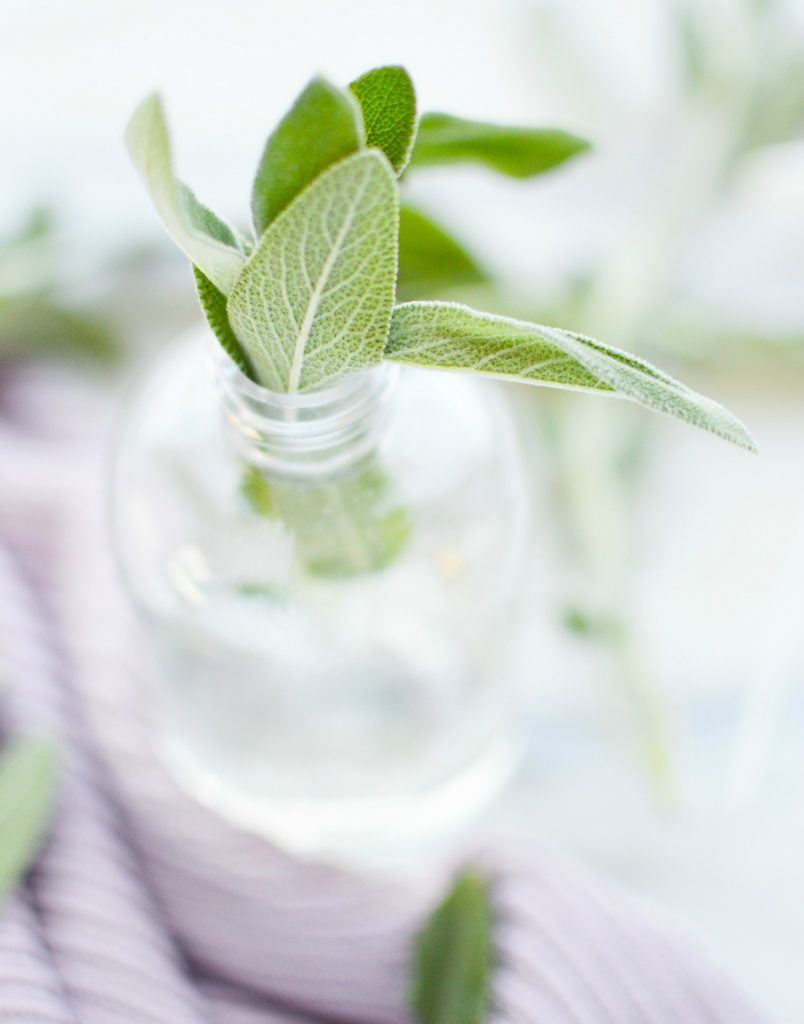 sage leaves in glass spray bottle