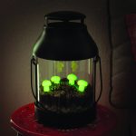 glow in the dark mushrooms in lantern terrarium