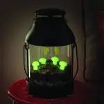 glow in the dark mushrooms in lantern terrarium
