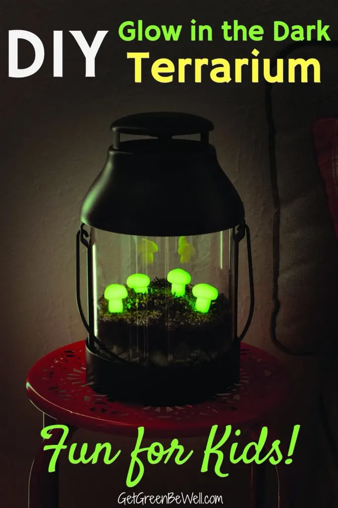 glow in the dark mushrooms in lantern terrarium