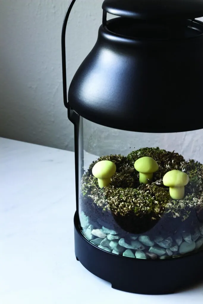 Glow in the Dark Lantern Terrarium with charcoal moss lichens
