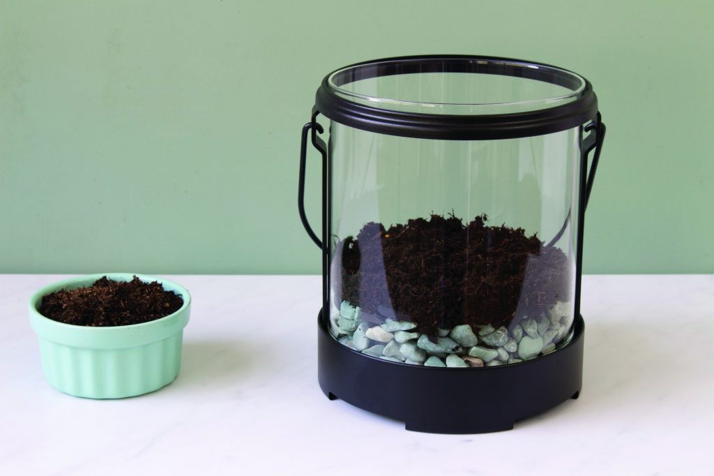 peat moss in glass lantern for terrarium