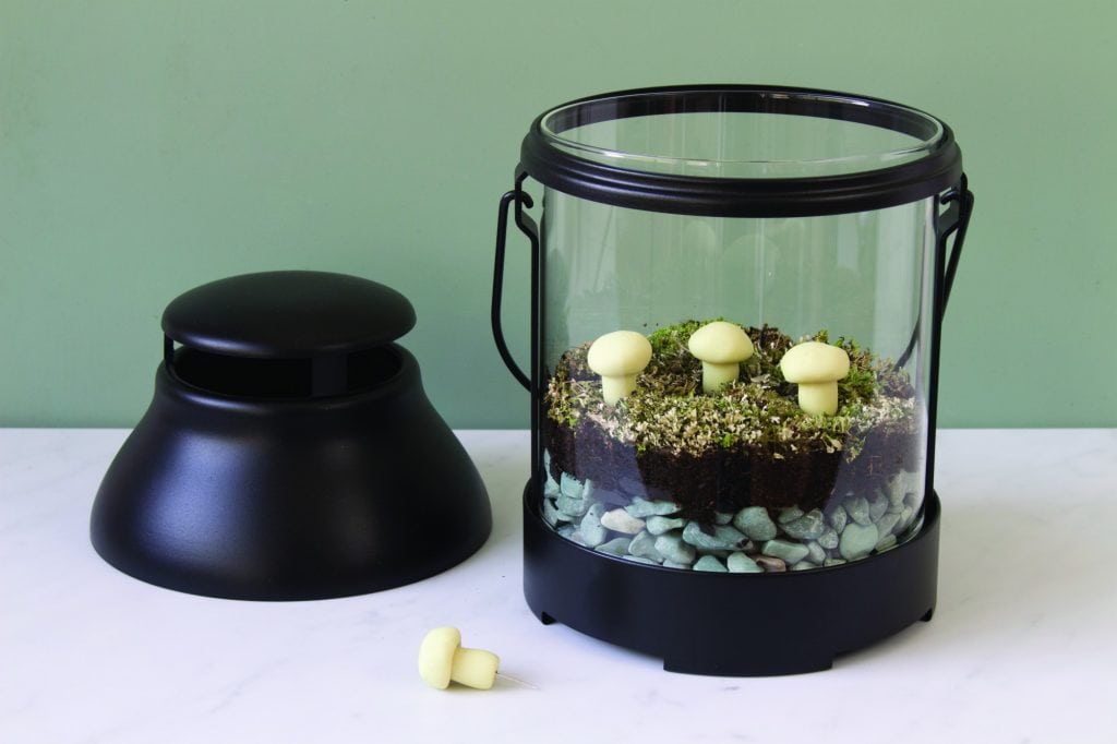 clay mushrooms in glow in the dark terrarium