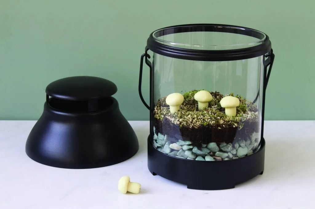 clay mushrooms in glow in the dark terrarium