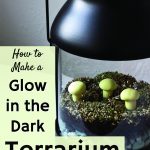 Glow in the dark terrarium with moss and mushrooms