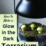 Glow in the dark terrarium with moss and mushrooms