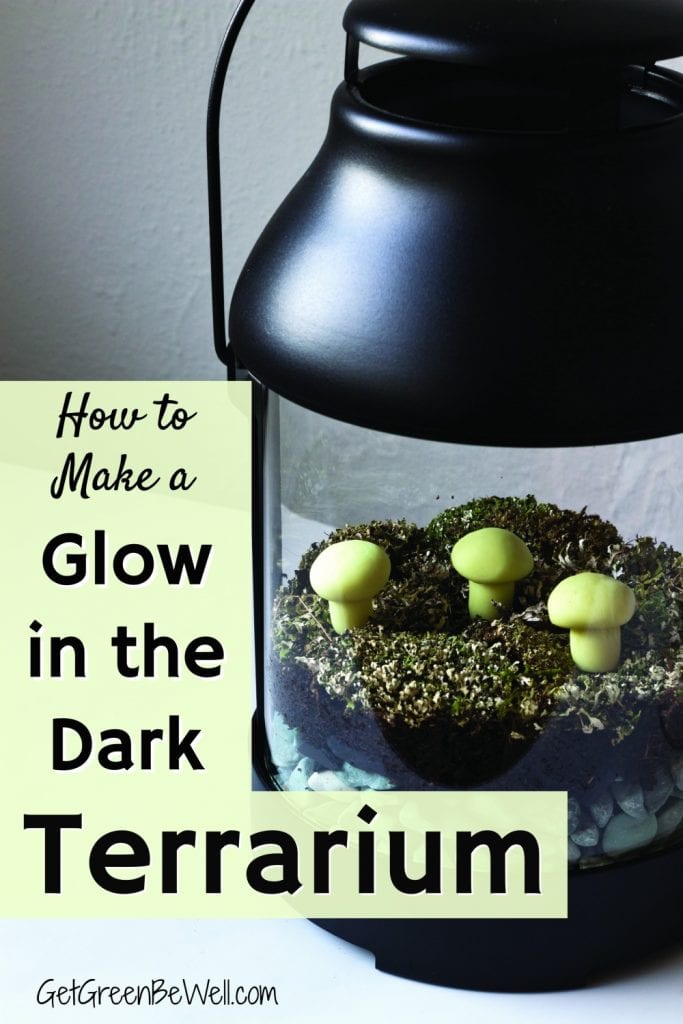 Glow in the dark terrarium with moss and mushrooms