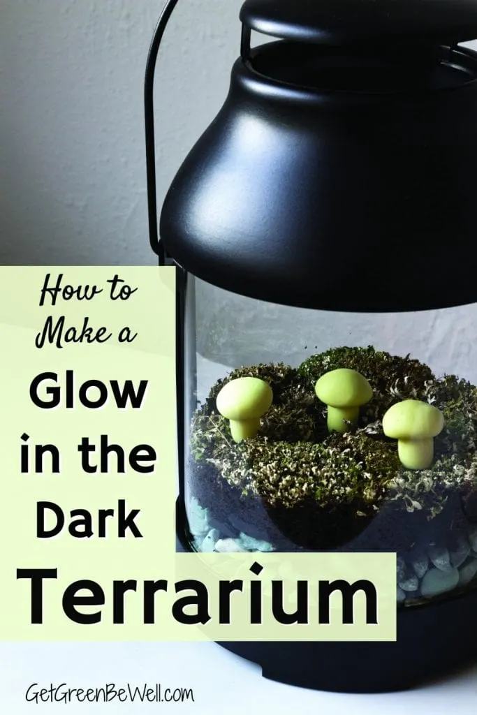 Glow in the dark terrarium with moss and mushrooms