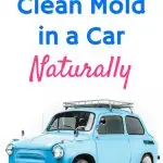 Discover the natural method to effectively clean mold in a car.