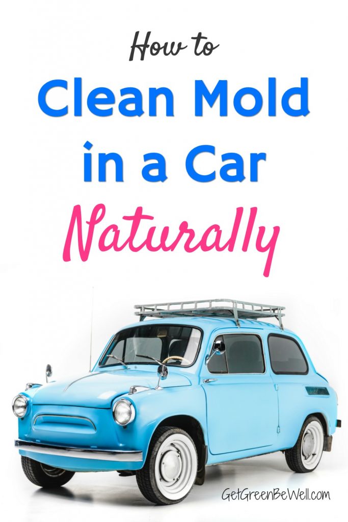 How To Clean Mold In A Car Naturally Get Green Be Well