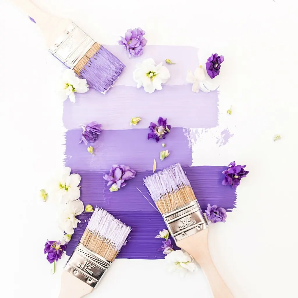 paint brushes applying purple paint to white background