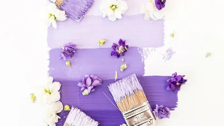 paint brushes applying purple paint to white background