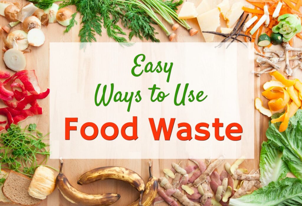 food waste scraps