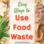 food waste scraps