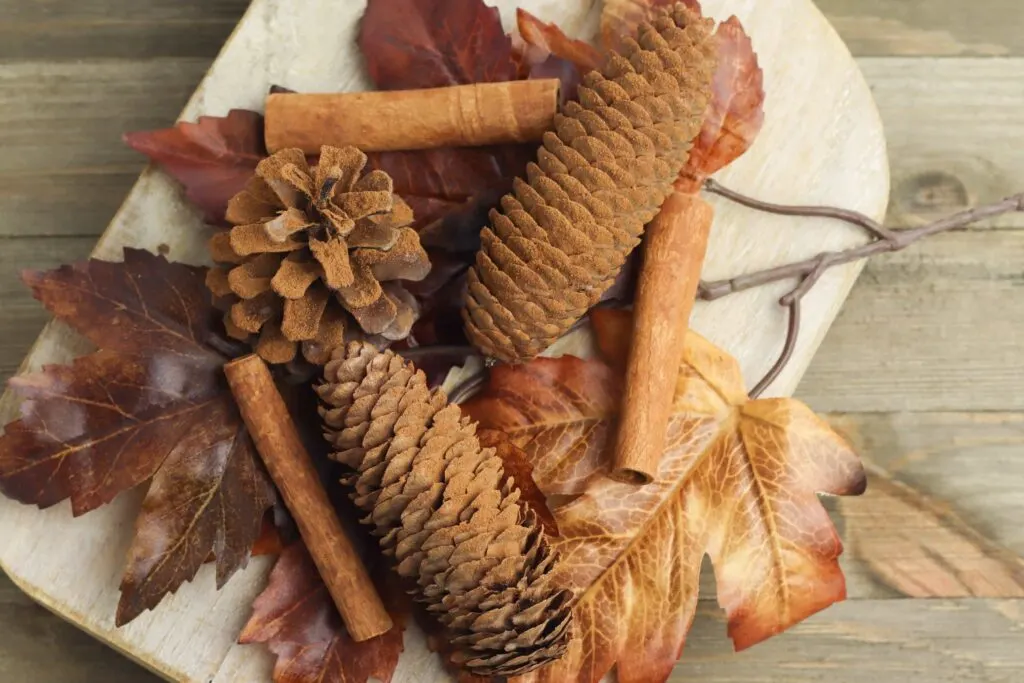 DIY Cinnamon-Scented Pine Cones