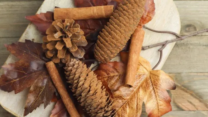 cinnamon covered pine cones on wooden cutting board with fall leaves