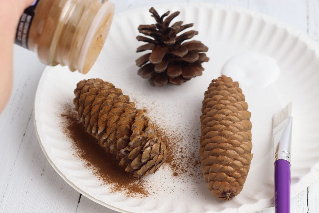 pine cones on paper plate with woman shaking cinnamon powder on them