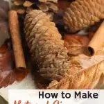 cinnamon covered pine cones on wooden cutting board with fall leaves