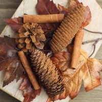 Naturally Scented Cinnamon Pine Cones