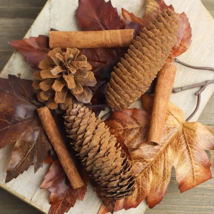 cinnamon covered pine cones on wooden cutting board with fall leaves