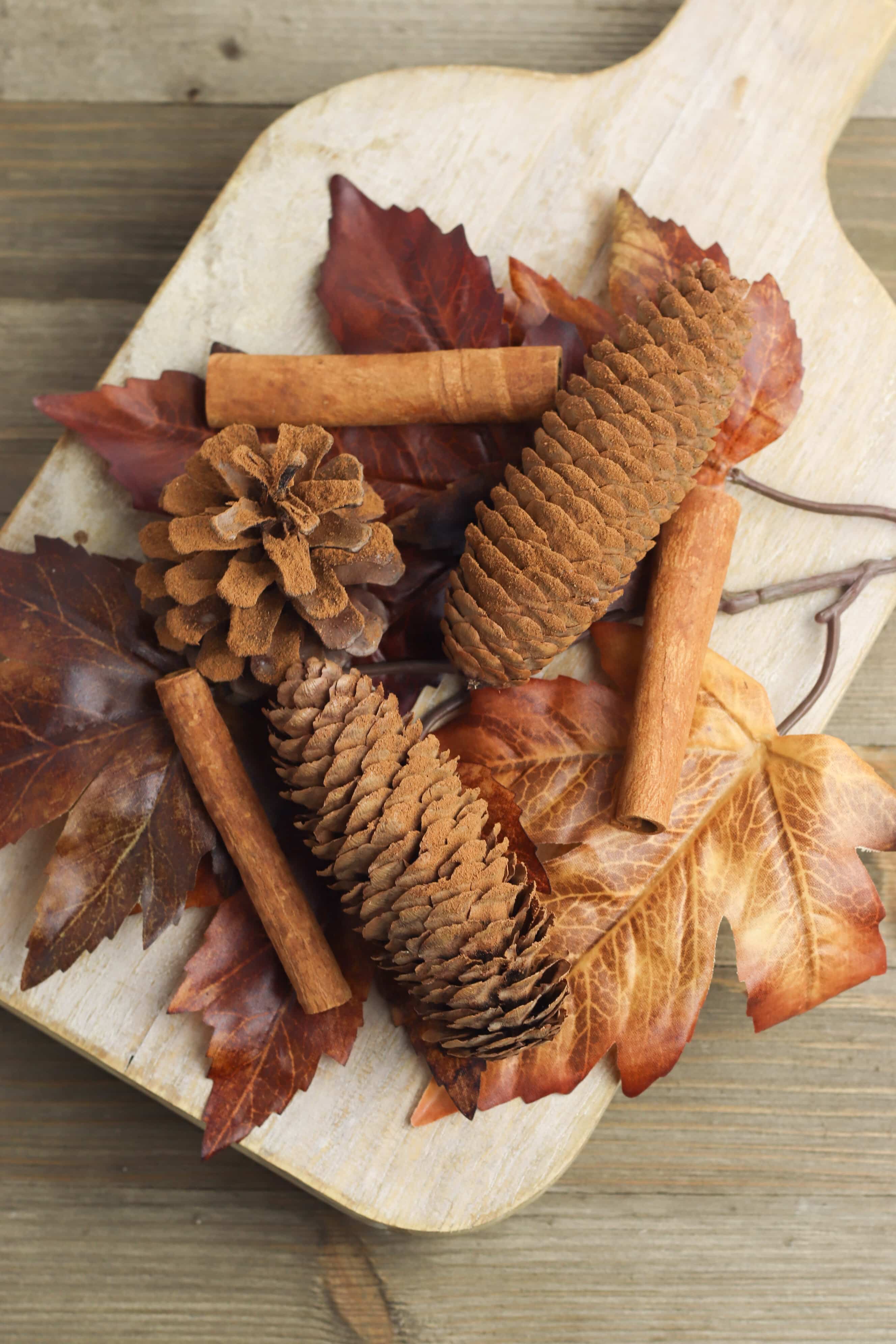 How to Make Cinnamon Pine Cones - 2 Ways! - Get Green Be Well