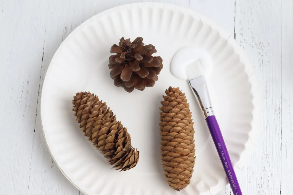 pine cones on white paper plate with craft glue and paint brush