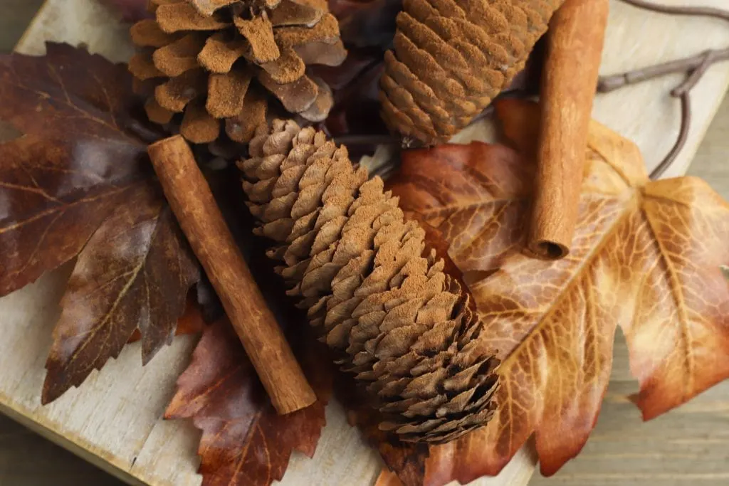 cinnamon covered pine cones on wooden cutting board with fall leaves
