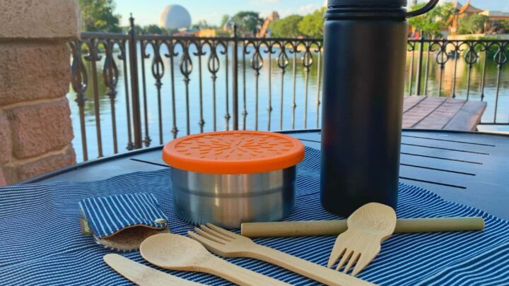 zero waste kit at disney epcot theme park Bamboo utensils reusable water bottle