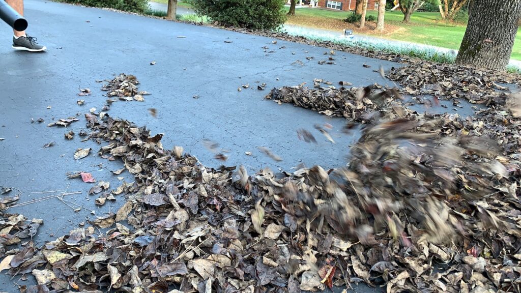 blowing leaves with worx cordless leaf blower