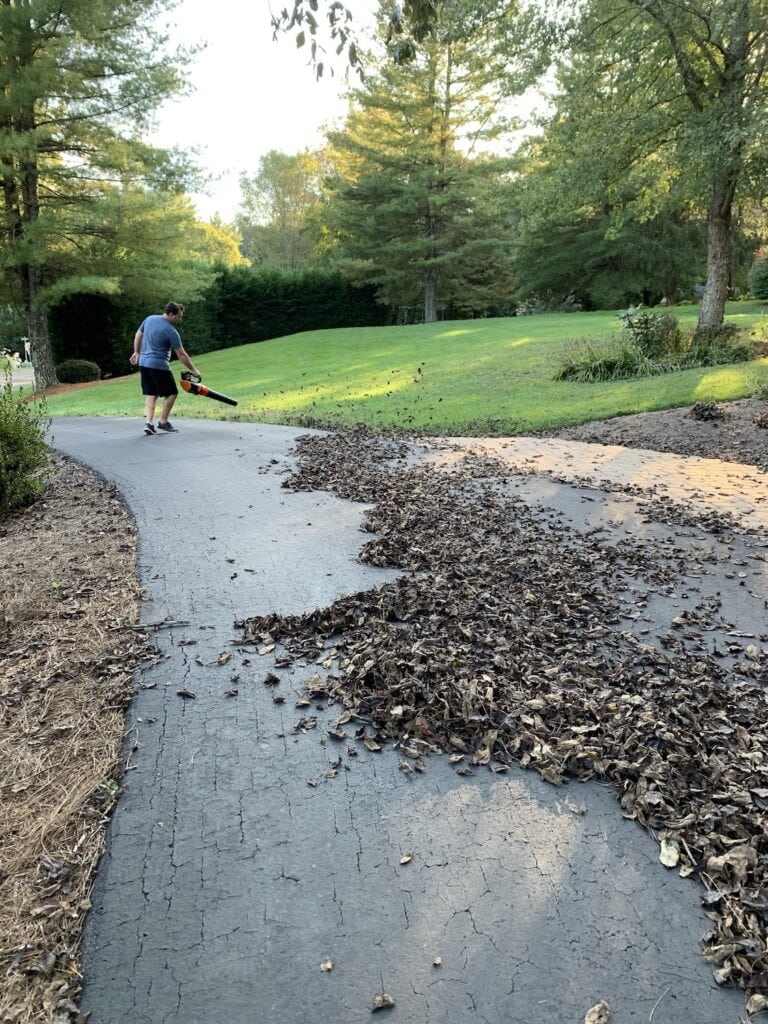 man using leaf blower to blow leaves in driveway