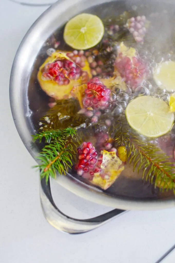 Christmas stovetop potpourr simmering in stainless steel pot