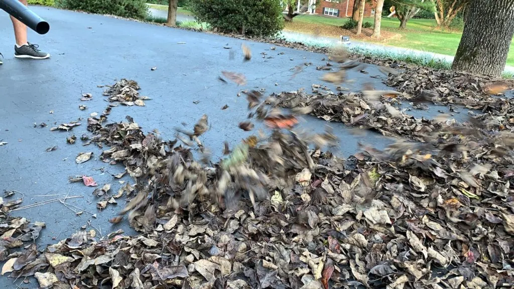 cordless leaf blower blowing leaves on driveway