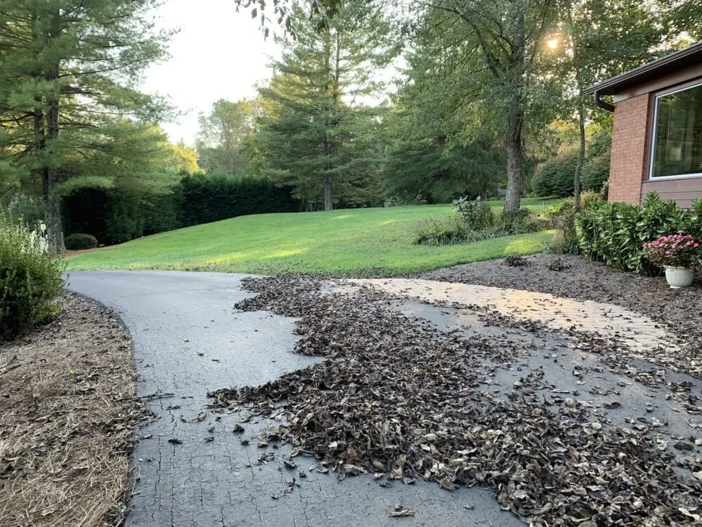 piles of dead leaves on driveway