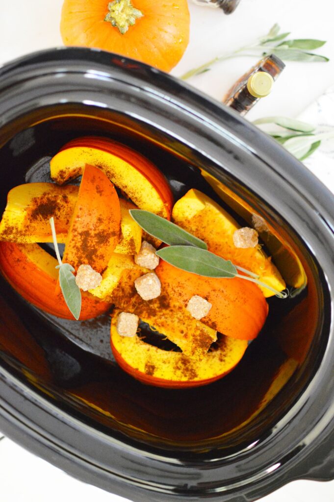 pumpkin pie slices sage and sugar in crock pot for potpourri