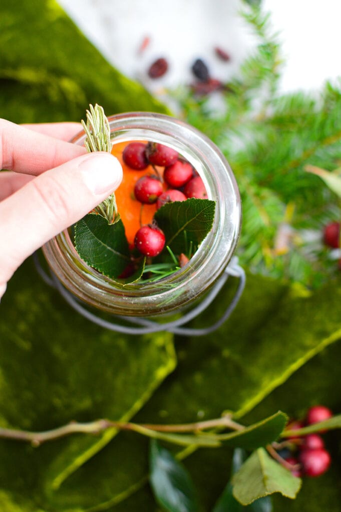 woman hand putting rosemary spring in Christmas potpourri in a jar