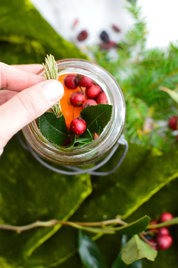 woman hand putting rosemary spring in Christmas potpourri in a jar